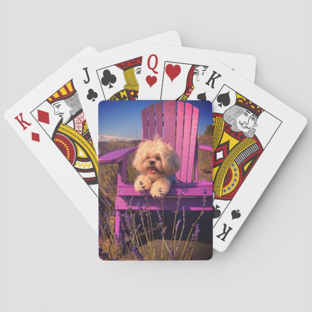 Baraja De Cartas Happy Playful Shih Tzu Puppy, Dog Relaxing (Reverso)