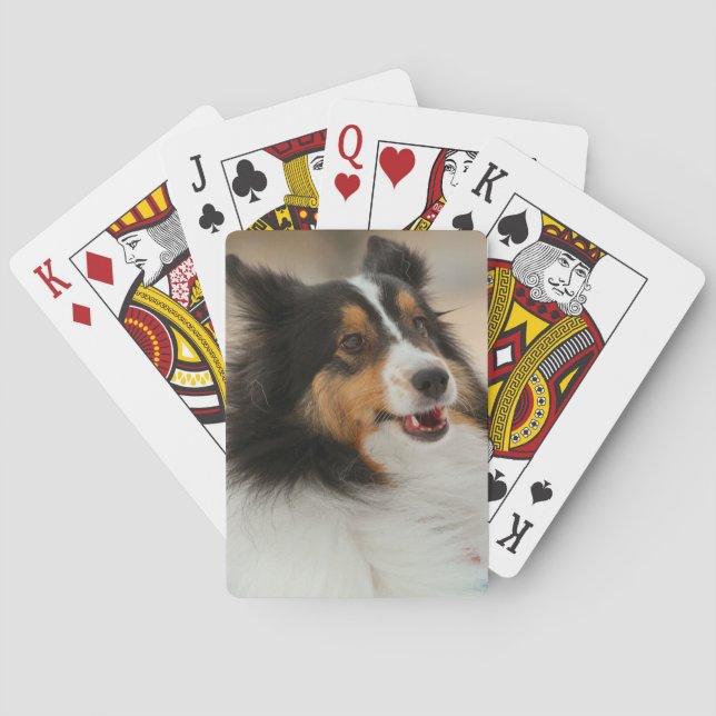 Baraja De Cartas Happy Shelty (Reverso)