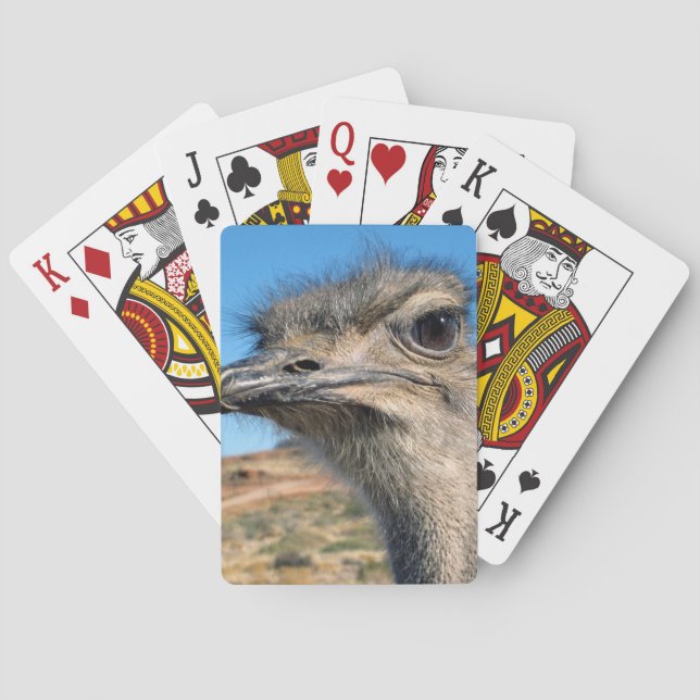 Baraja De Cartas Harry el Ostrich Feliz (Reverso)
