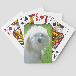 Baraja De Cartas Havanés