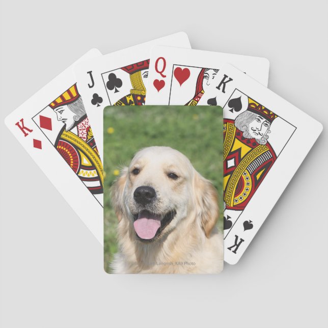 Baraja De Cartas Headshot 1 del golden retriever (Reverso)