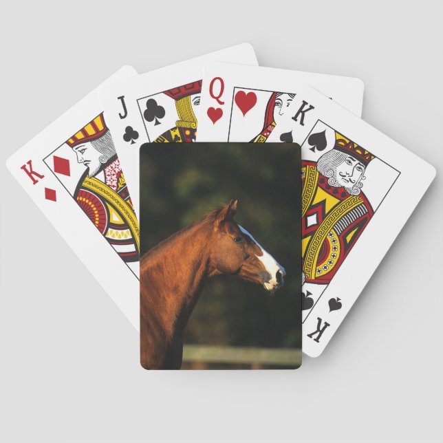Baraja De Cartas Headshot excelente del caballo (Reverso)