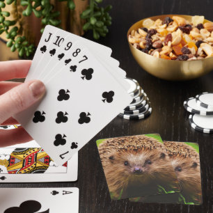 Baraja De Cartas Hedgehog Explorando Curiosamente