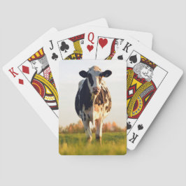 Baraja De Cartas Heifer in the Pasture