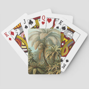 Baraja De Cartas Helechos Palma Árbol Antiguo Arte Botánico Helecho
