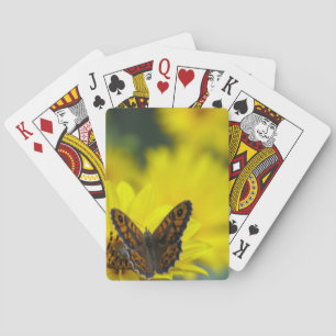 Baraja De Cartas Helenio de la margarita amarilla
