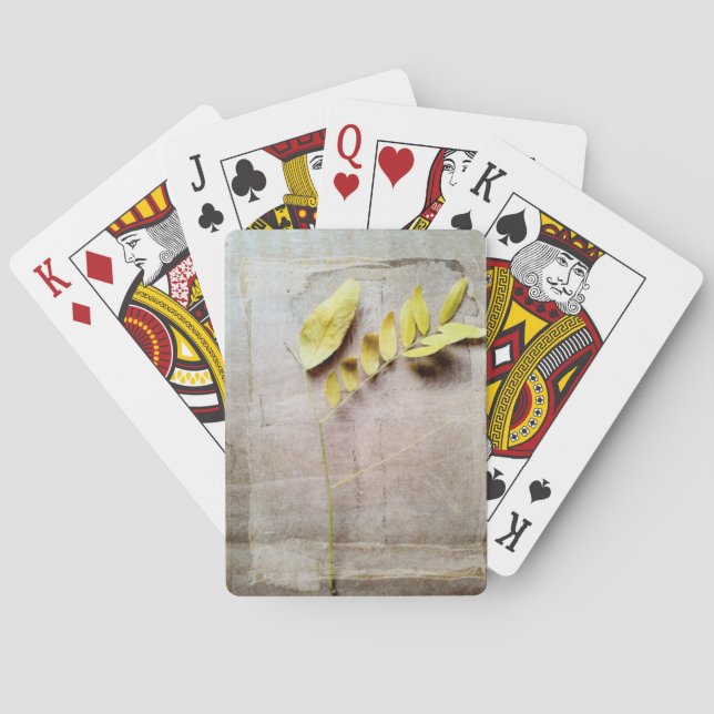 Baraja De Cartas Herbario V (Reverso)