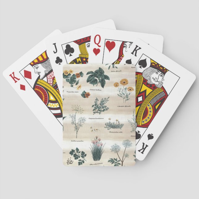 Baraja De Cartas Herbs Plantas Flores (Reverso)