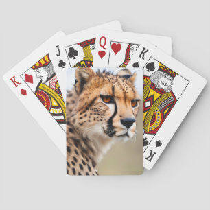 Baraja De Cartas Hermosa Cheetah
