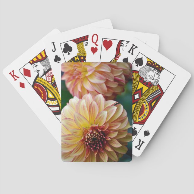 Baraja De Cartas Hermosa flor de dahlia (Reverso)