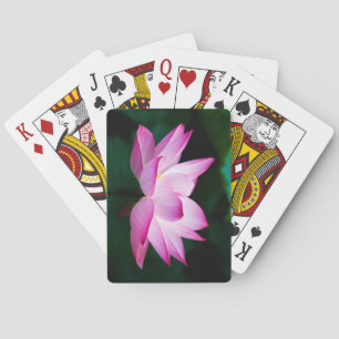 Baraja De Cartas Hermosa flor rosa Lotus