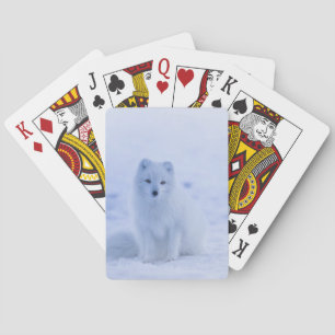 Baraja De Cartas Hermosa Fox Ártica