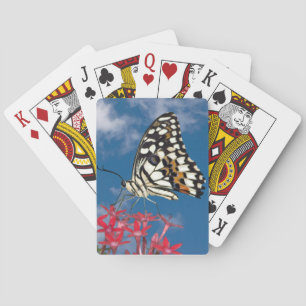 Baraja De Cartas Hermosa mariposa