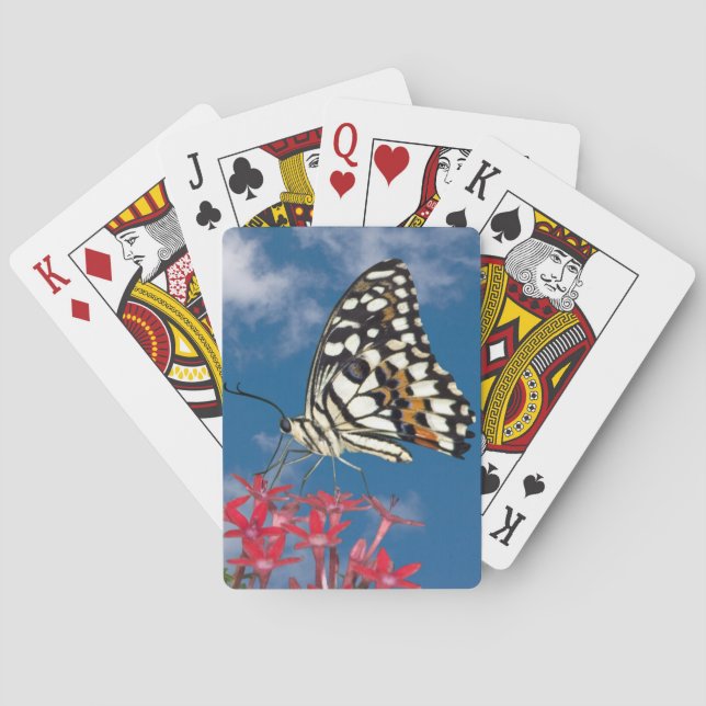 Baraja De Cartas Hermosa mariposa (Reverso)
