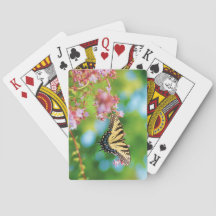 Hermosa mariposa de cola Swalloween sobre flores d