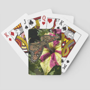 Baraja De Cartas Hermosa mariposa elefante