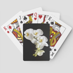 Baraja De Cartas Hermosa orquídea blanca con fondo negro