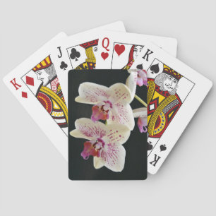Baraja De Cartas Hermosa orquídea blanca y rosa con fondo negro