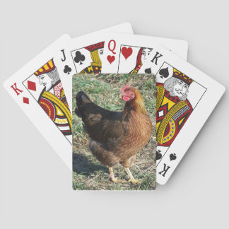 Baraja De Cartas Hermosa Rara Raza de Pollo Hen de verano