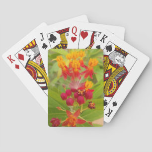 Baraja De Cartas Hermosa y colorida floral con arte de hierbas arom