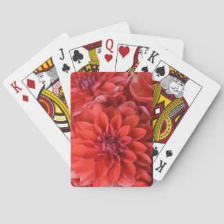 Baraja De Cartas Hermosas flores rojas de dahlia