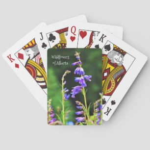 Baraja De Cartas Hermosas flores silvestres púrpura florecen en Can