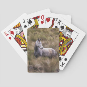 Baraja De Cartas Hermoso caballo de color gris
