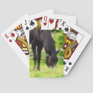 Baraja De Cartas Hermoso caballo negro con manchas en la pastura