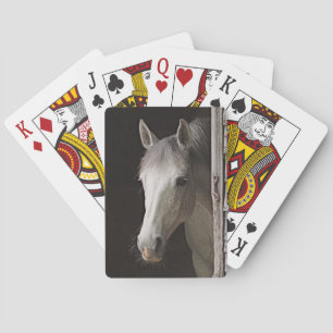 Baraja De Cartas Hermoso caballo y establo rústico
