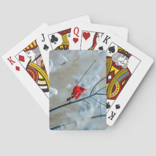 Baraja De Cartas Hermoso cardenal rojo en la nieve