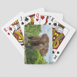 Baraja De Cartas Hermoso elefante jugando en la hierba