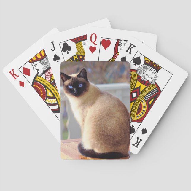 Baraja De Cartas Hermoso gato siamés con ojos azules (Reverso)