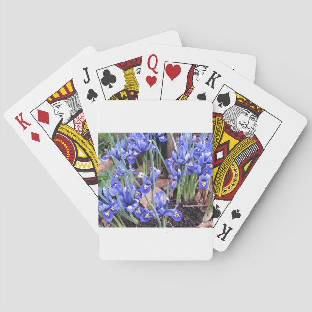 BARAJA DE CARTAS HERMOSO IRIS (Reverso)