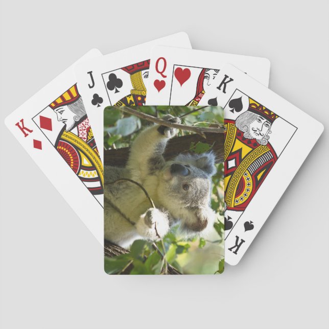 Baraja De Cartas Hermoso oso Koala en los árboles (Reverso)