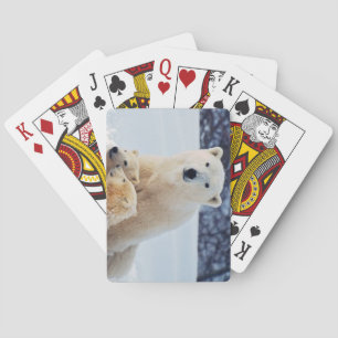 Baraja De Cartas Hermoso oso polar y sus cachorros