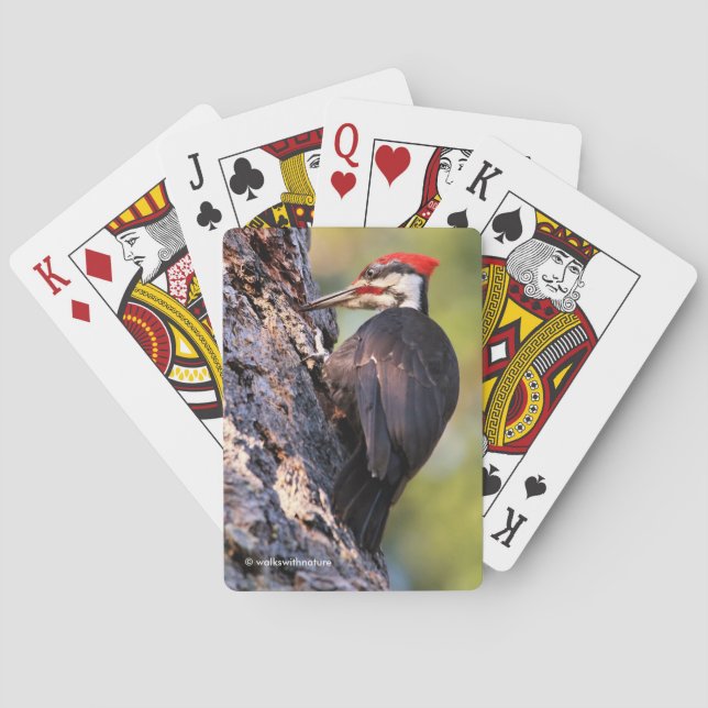 Baraja De Cartas Hermoso pájaro carpintero apilado en el árbol (Reverso)