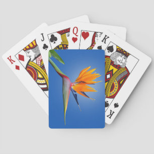 Baraja De Cartas Hermoso pájaro del paraíso Flor de Strelitzia