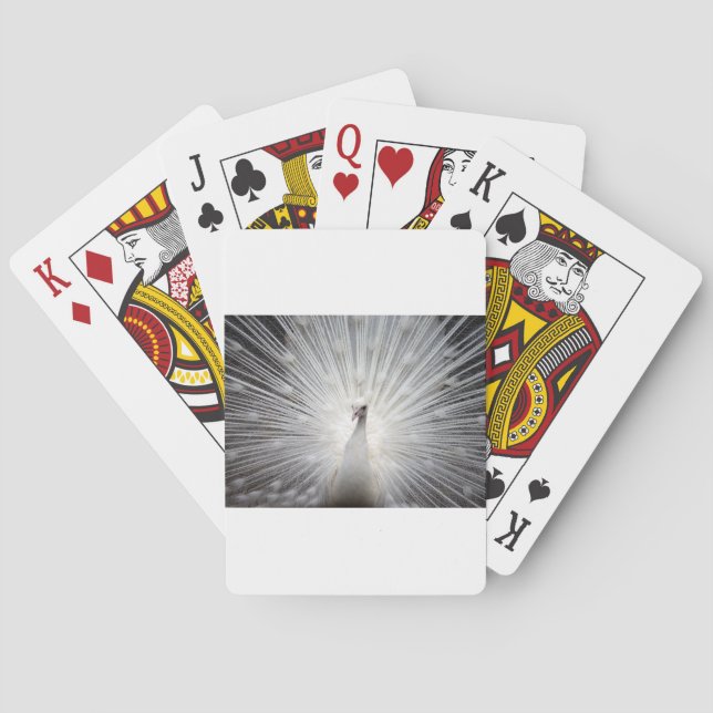 Baraja De Cartas Hermoso pavo real blanco (Reverso)
