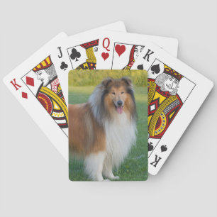 Baraja De Cartas Hermoso Perro de Collie