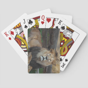 Baraja De Cartas Hermoso renacimiento de leones del norte de África