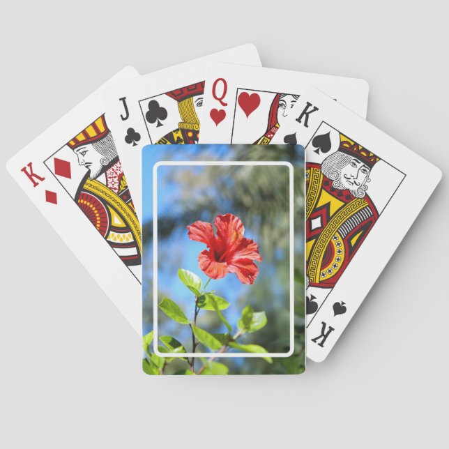 Baraja De Cartas Hibisco Rojo (Reverso)