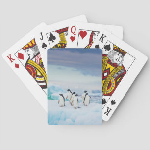 Baraja De Cartas Hielo y nieve Adelie Penguins Antártida