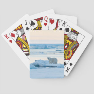 Baraja De Cartas Hielo y nieve   Polar Bear Iceberg Noruega