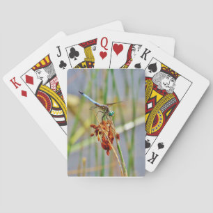 Baraja De Cartas Hierba de las fisuras y libélula