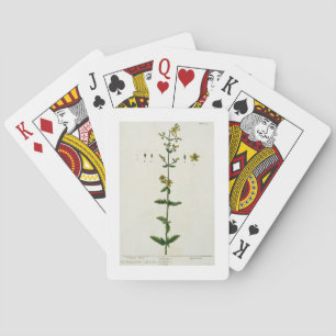 Baraja De Cartas Hierba de San Juan, plato 15 de A Curious Herbal,