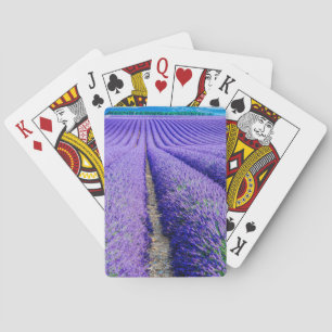 Baraja De Cartas Hileras de lavanda, Provenza, Francia