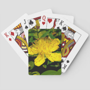 Baraja De Cartas Hipericum calycinum