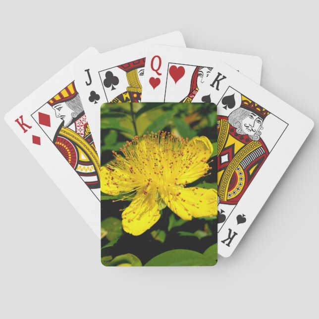 Baraja De Cartas Hipericum calycinum (Reverso)