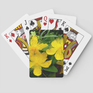 Baraja De Cartas Hipericum calycinum