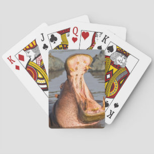 Baraja De Cartas Hipopótamo bostezando, Tanzania